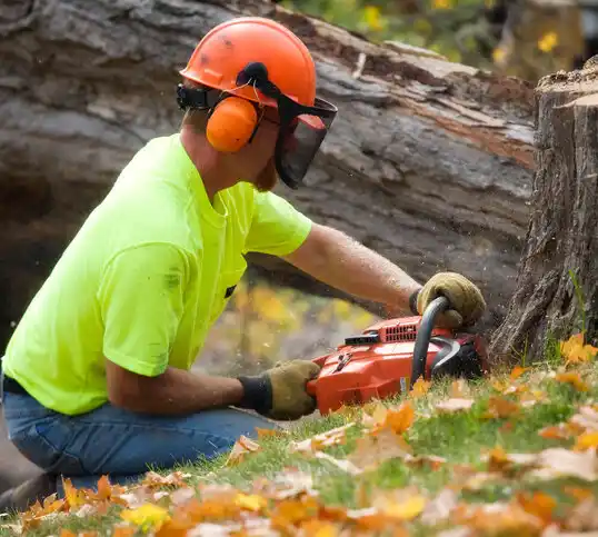 tree services Angola on the Lake